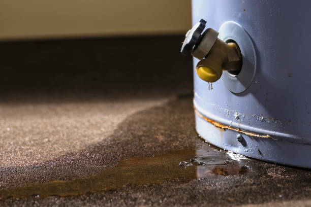 Water damage restoration experts in South Palm Beach, FL