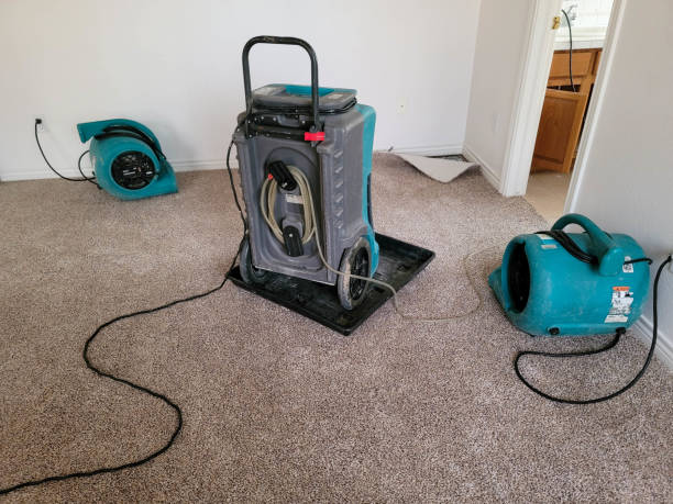Reliable South Palm Beach, FL Water damage restoration Solutions