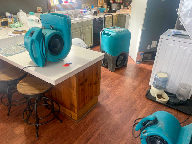  South Palm Beach, FL Water damage restoration Pros