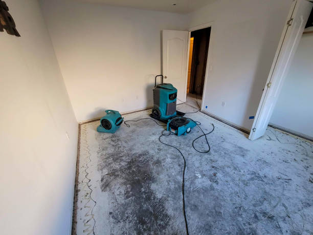 Best Commercial water damage restoration  in South Palm Beach, FL