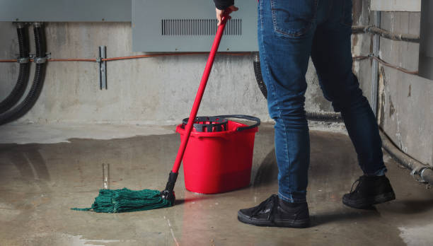Carpet water damage restoration in South Palm Beach, FL
