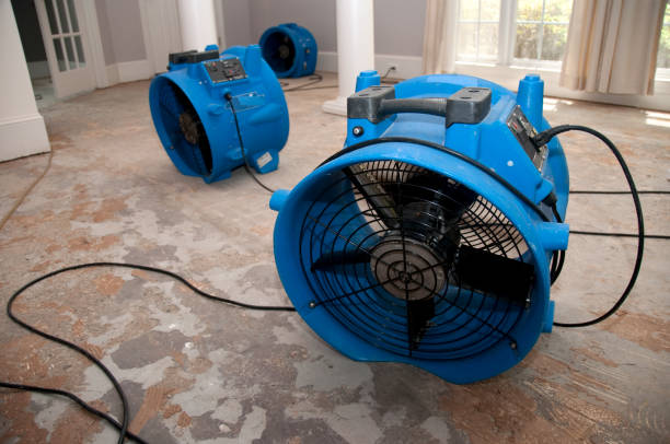 Best Residential water damage restoration  in South Palm Beach, FL