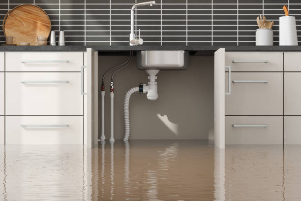 Best Ceiling water damage repair  in South Palm Beach, FL