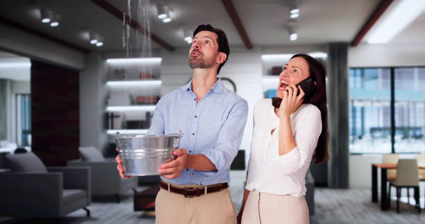 Best Flood restoration services  in South Palm Beach, FL